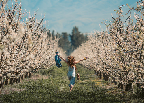 interactive family wellness allergies